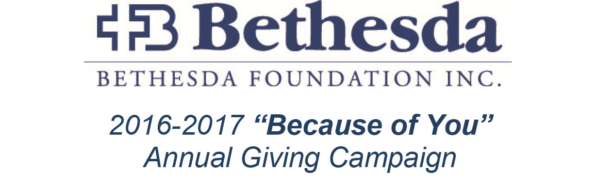 Annual Giving 16-17 Campaign Logo